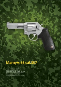 маг 66